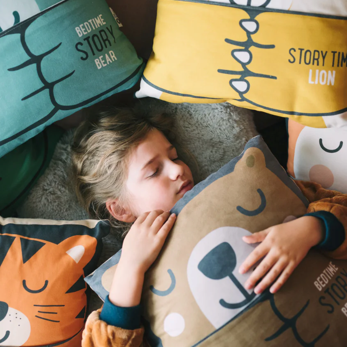 The Story Pocket Cushion - Fox