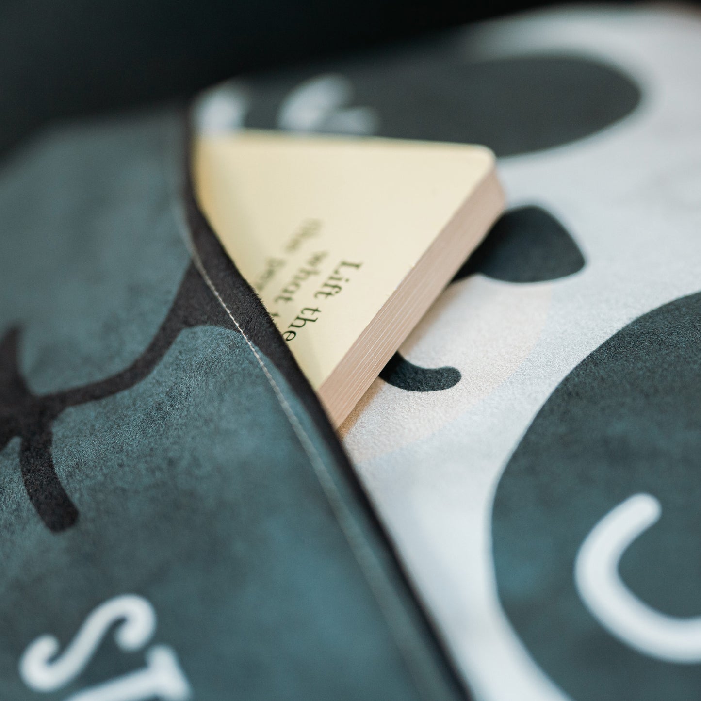 The Story Pocket Cushion - Panda